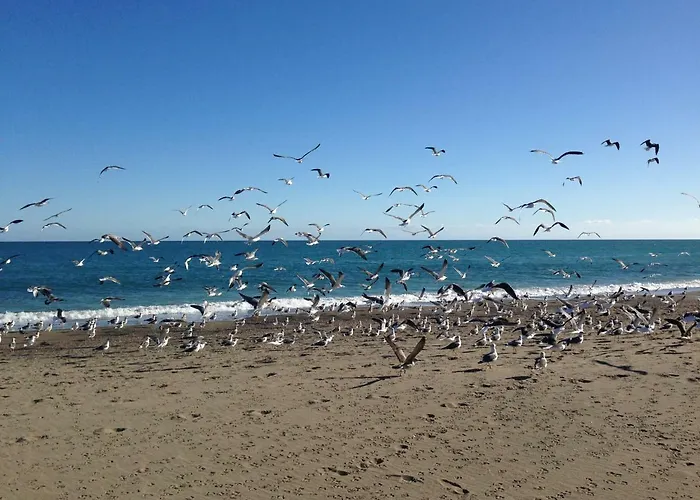 Loft Pleno Centro, Vistas Fantasticas Lejlighed Torremolinos