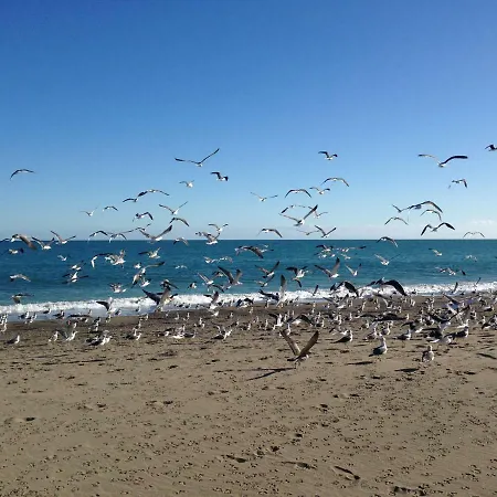 Loft Pleno Centro, Vistas Fantasticas 아파트 토레몰리노스